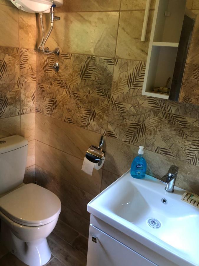Tilia Cottage Banjska Stena Митровац Екстериор снимка