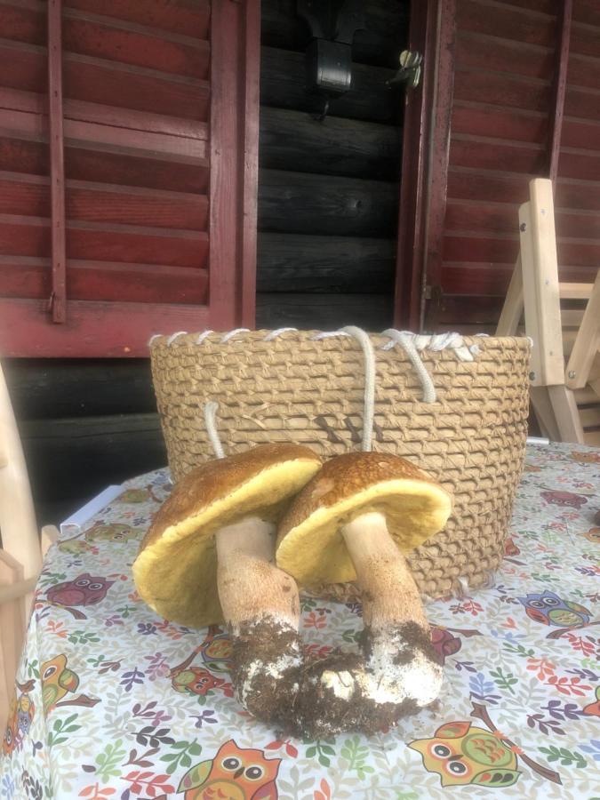Tilia Cottage Banjska Stena Митровац Екстериор снимка