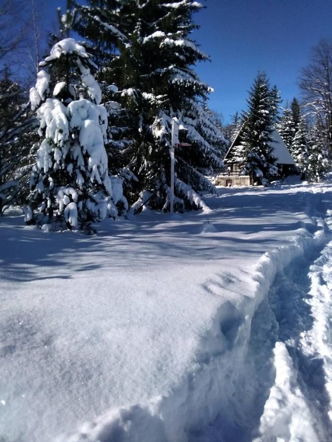 Tilia Cottage Banjska Stena Митровац Екстериор снимка